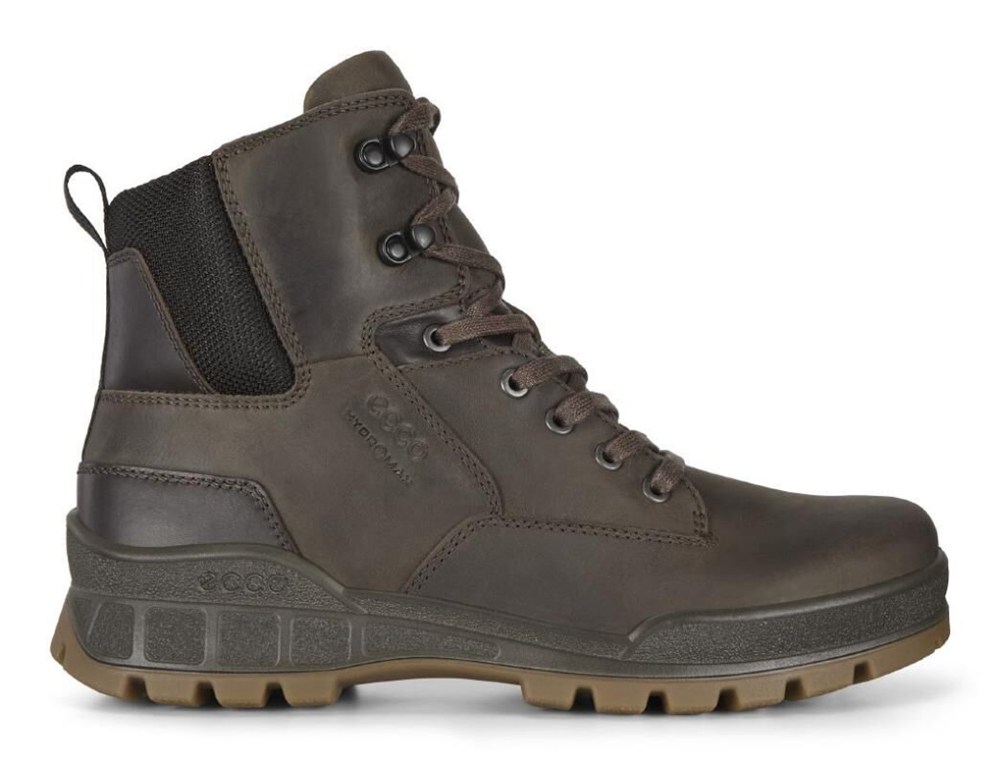 Mens Hiking Shoes - ECCO Track 25 Mid Boot - Brown - 4328IUDEB